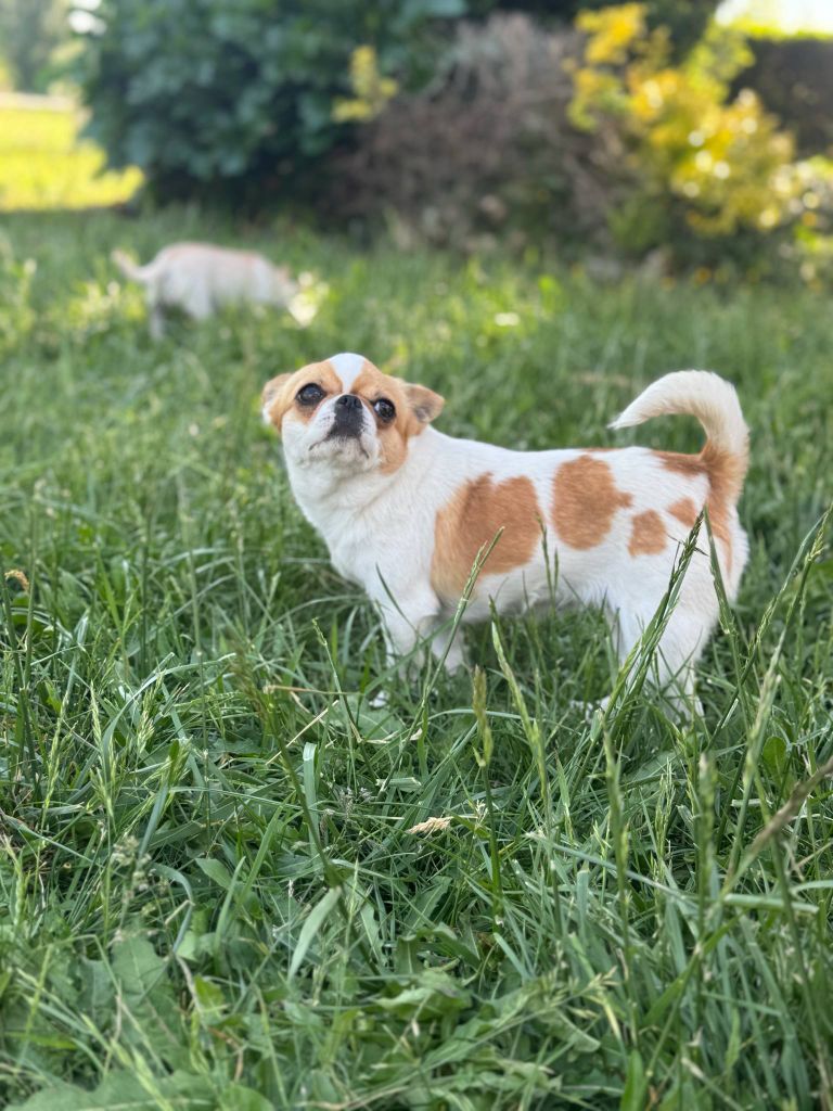 Tina Des Petits Tresors D'Azur